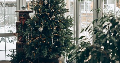 Wintergarten anbauen: Planung, Genehmigung und Kosten