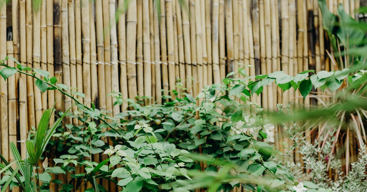 Sichtschutz im Garten: 8 clevere Ideen ohne Baugenehmigung